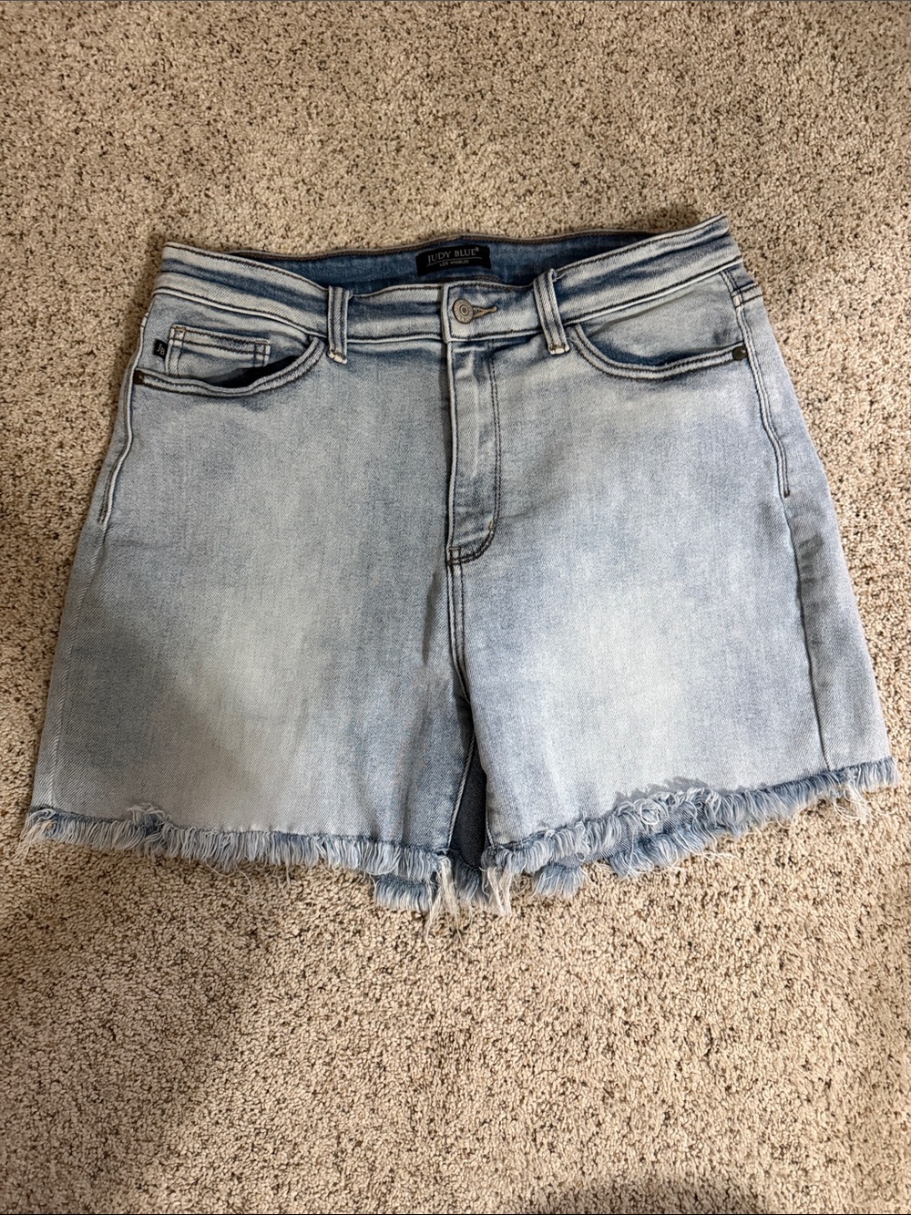 Judy Blue Light Blue Frayed Hem Denim Shorts